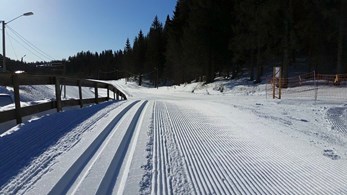 Hadelandsmesterskapet 2015